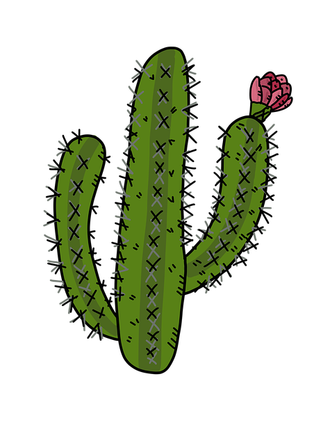 cactus, desert plants, cactus rose, prickly, nature, plant, green, wild, flower, succulents, art