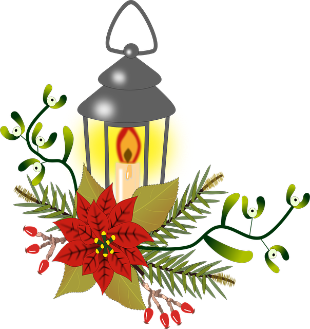 christmas, nature, flower wallpaper, beautiful flowers, flower background, bouquet, flower