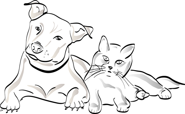 dog, cat, nature, domestic animal, silhouette, pet, animal