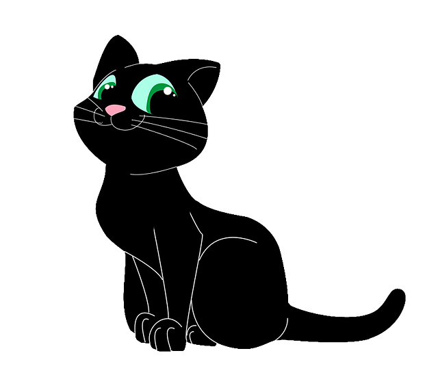 chat, pet, cat, black, animal, nature, black cat