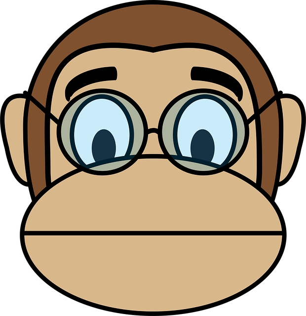 face, intellectual, monkey, smart, monkey, monkey, monkey, monkey, monkey
