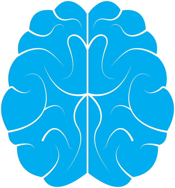 brain, icon, human, background, idea, symbol, design, beautiful wallpaper, science, mind, art, creative, medicine, isolated, silhouette, smart, white, concept, knowledge, education, medical, anatomy, think, intelligence, blue background, blue brain, blue 