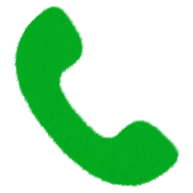 green, lawn, grass, nature, echo, ecology, ecological, energy saving, sustainability, savings, environmentally sustainable, power, blade of grass, blades of grass, phone, communication, to call, call, handset, phone icon, icon, icons, mobile phone, phone 