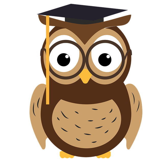 owl, education, academic, wisdom, glasses, student, graduation, teacher, graduate, knowledge, graduate cap, cut out, academic, graduation, graduation, teacher, teacher, teacher, teacher, teacher, graduate