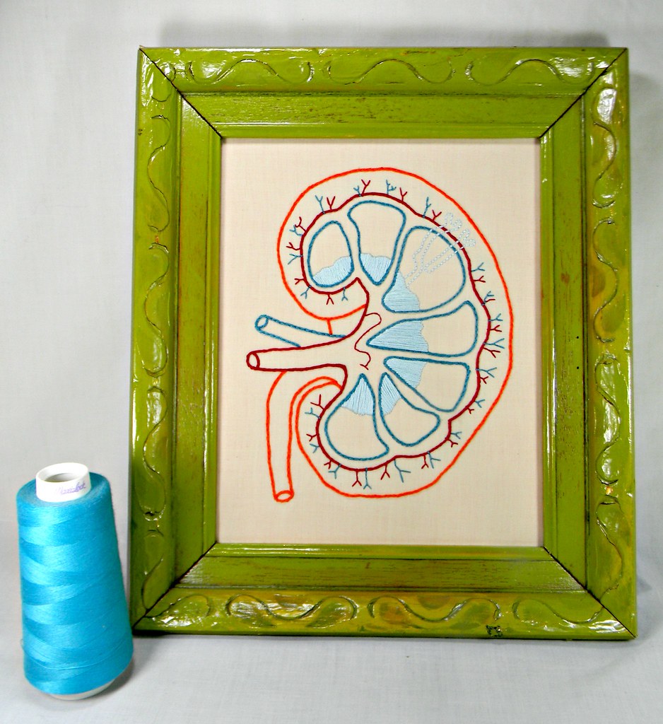 Framed Embroidery Kidney Anatomy Art. Hand Embroidered.