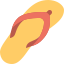 Flip Flops