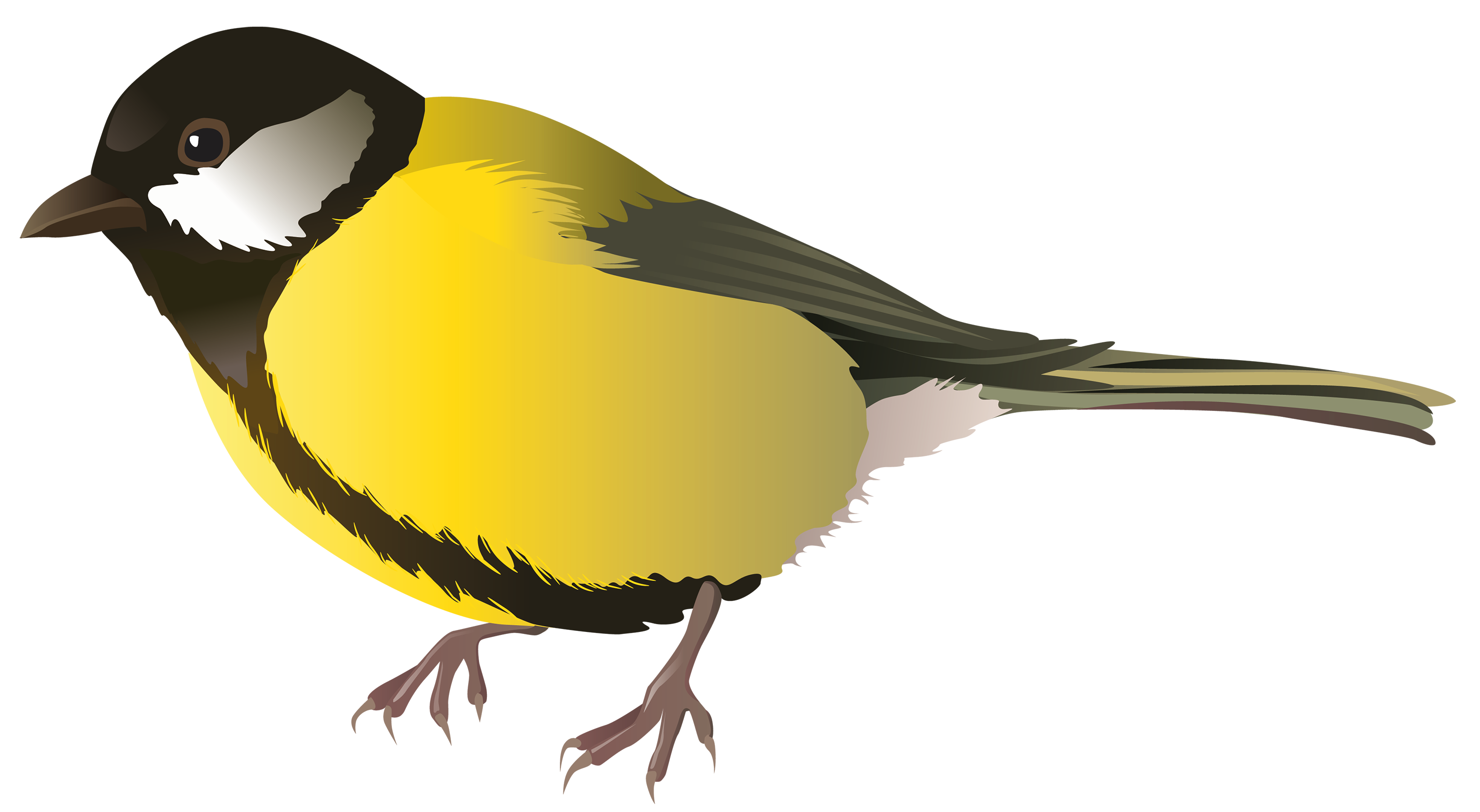 Birds_32.png