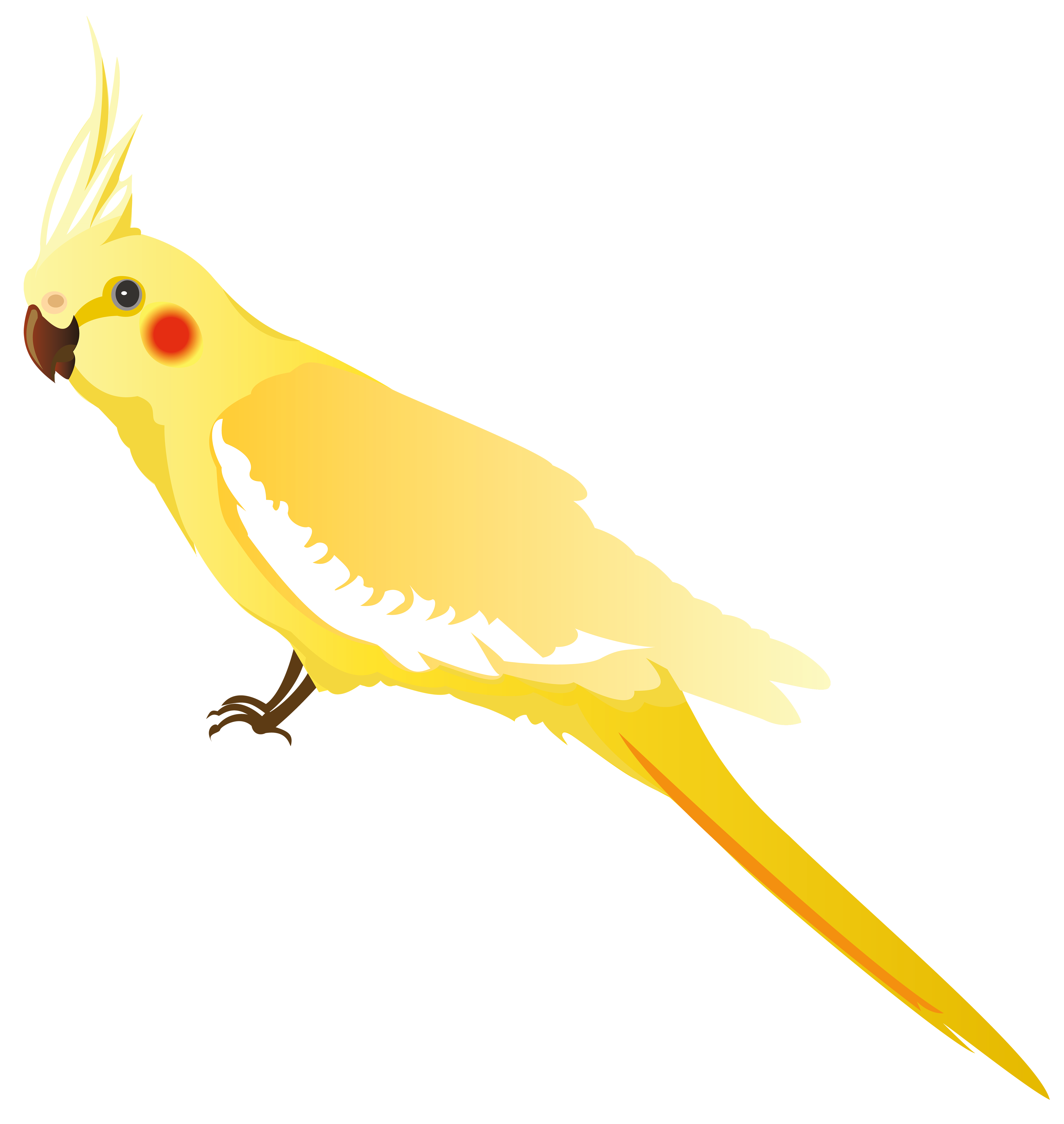 Birds_47.png