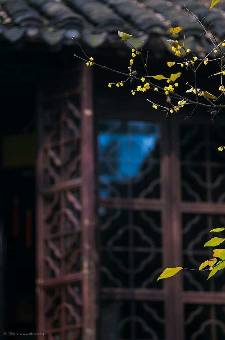 Cb Backgrounds - Copy_48.jpg