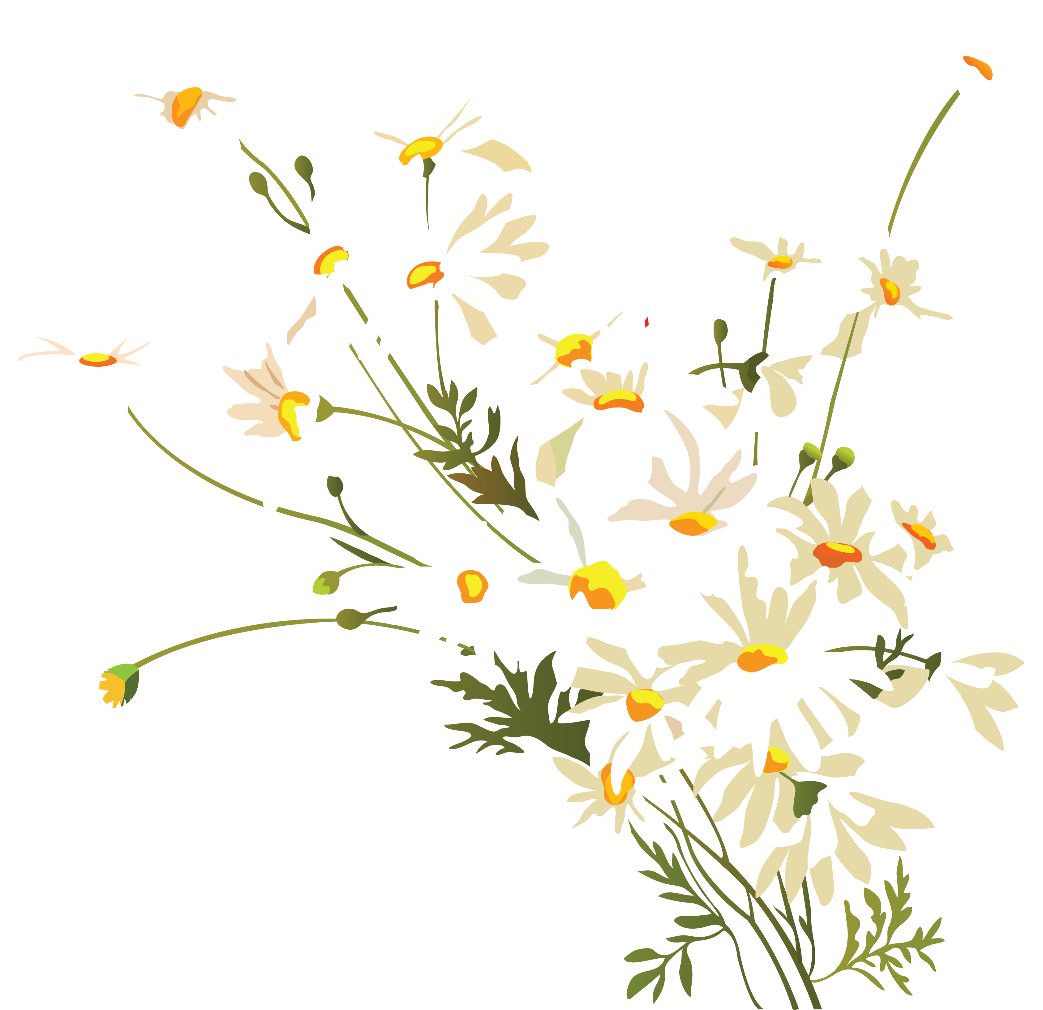 Flowers_18.png