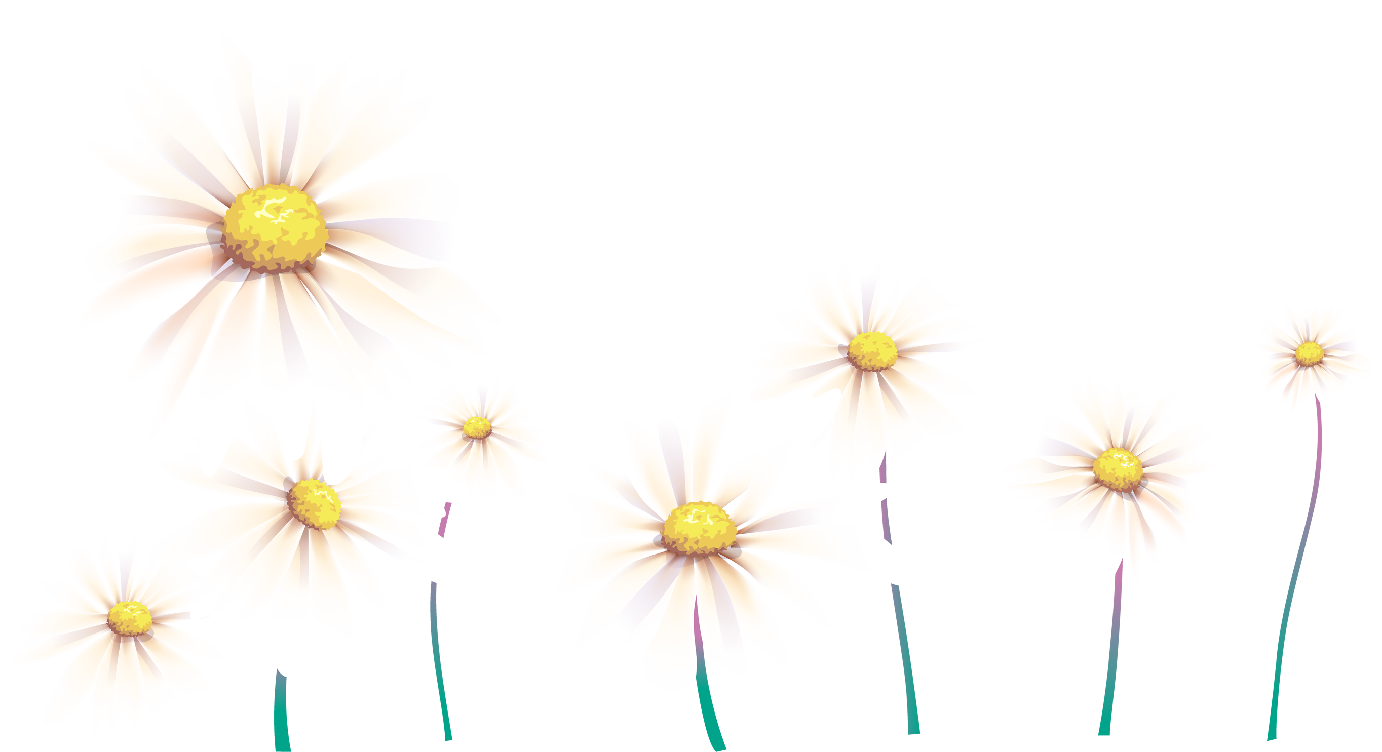 Flowers_21.png