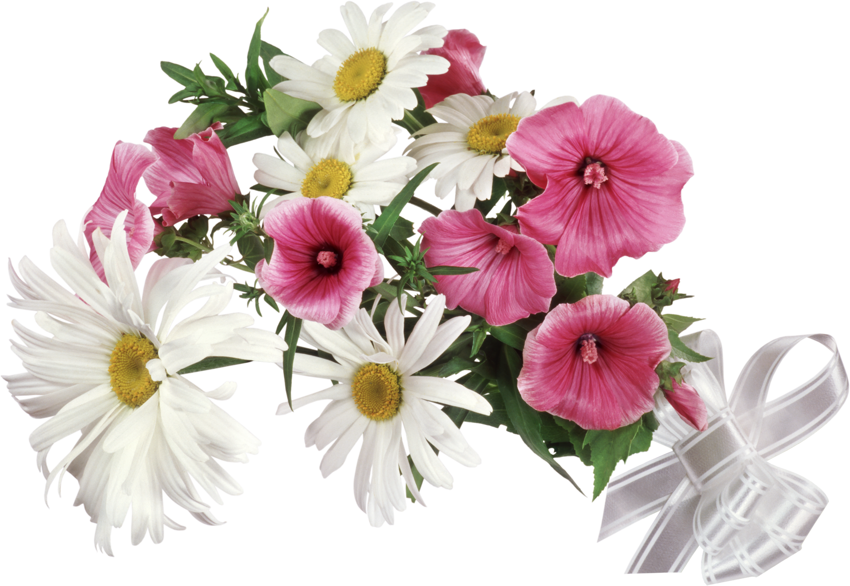 Flowers_29.png