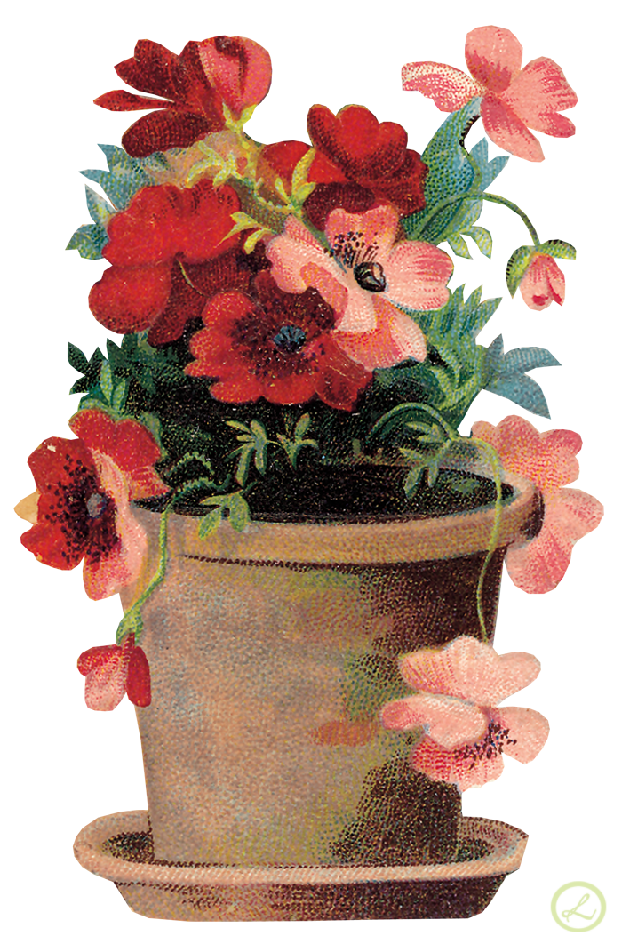 Flowers_42.png