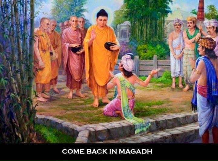 file 720x533_009427.jpg