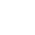 icon (10).png
