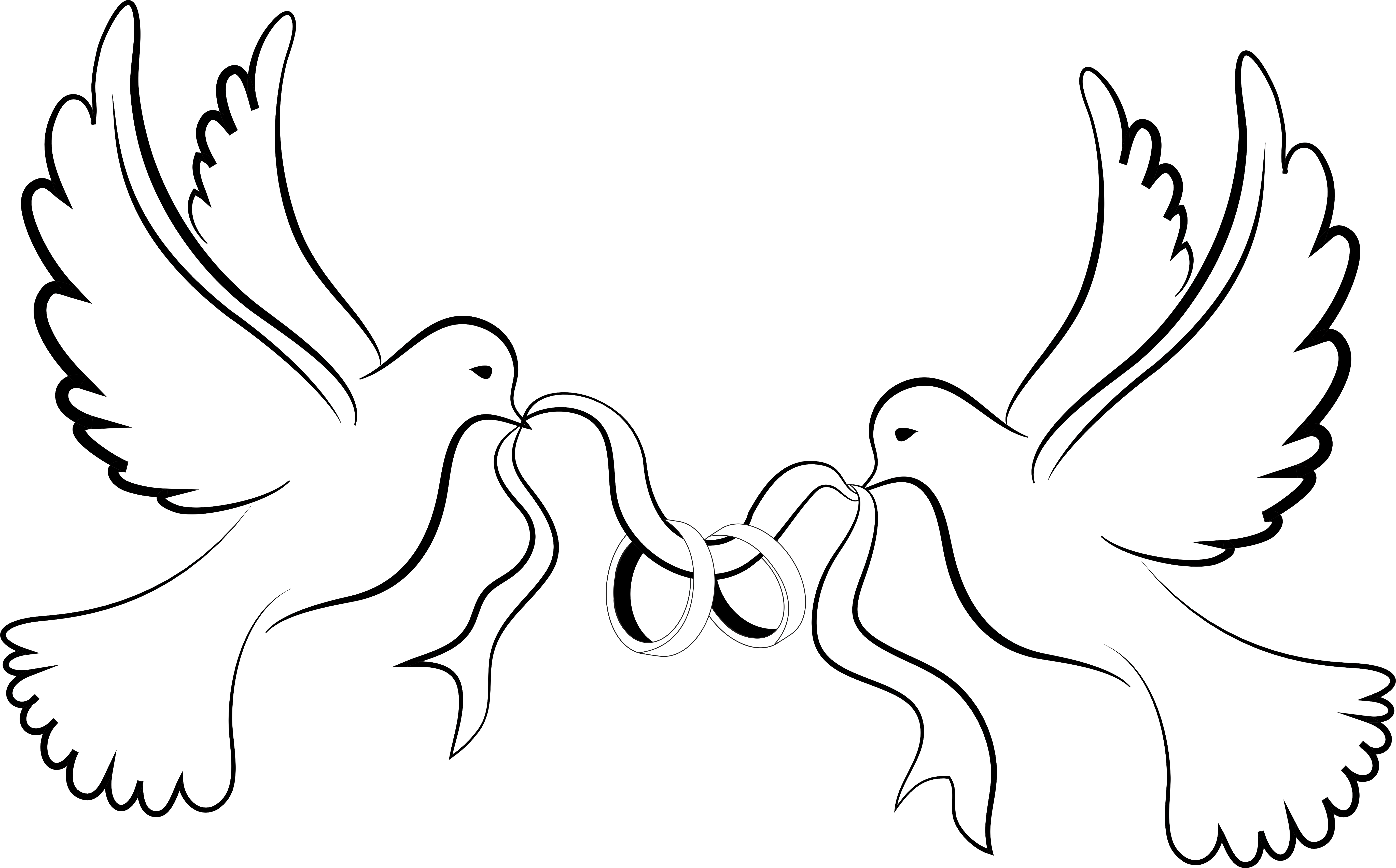 it168-22-04-2023 (21) (2).png