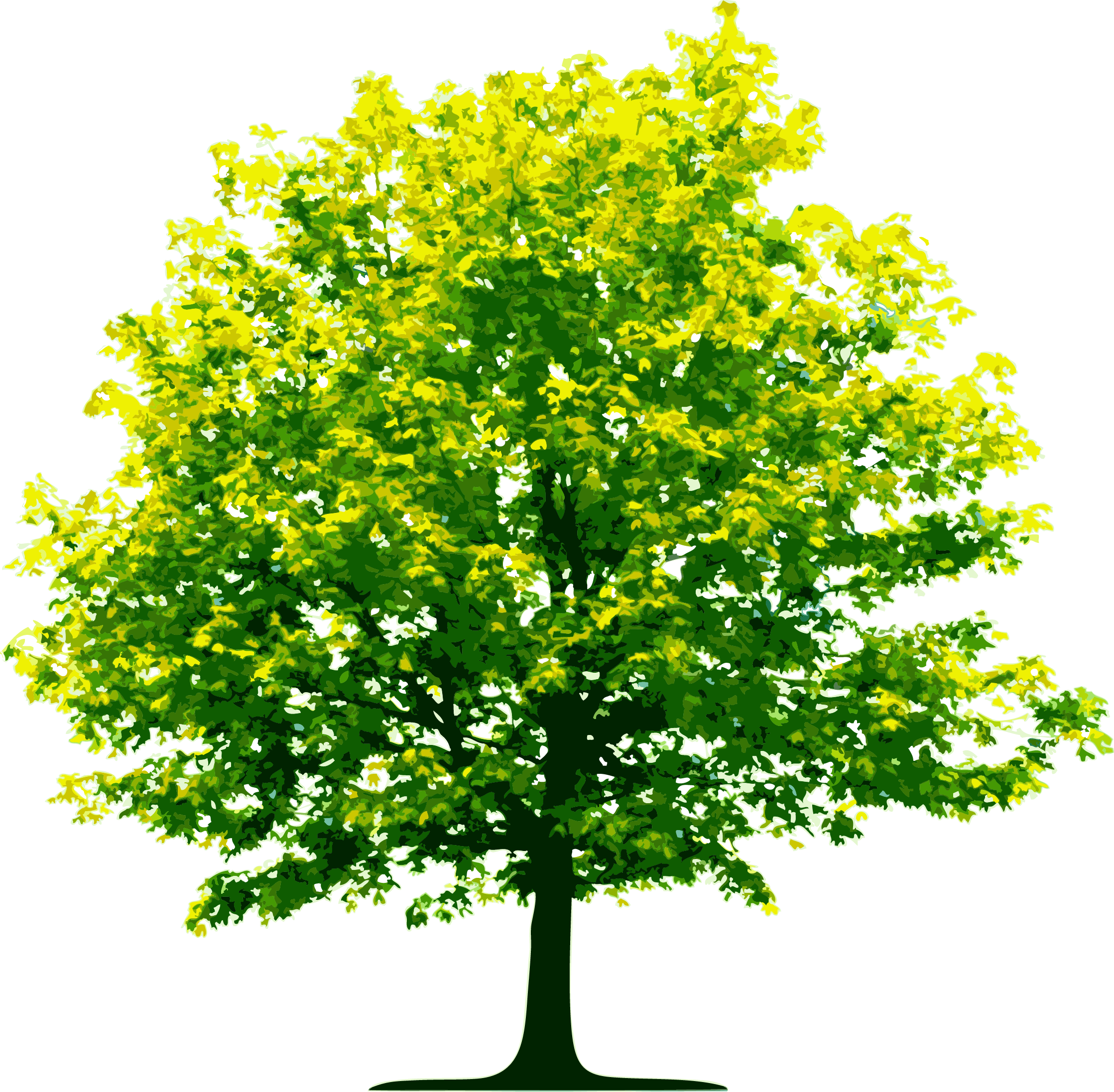 tree (2).png