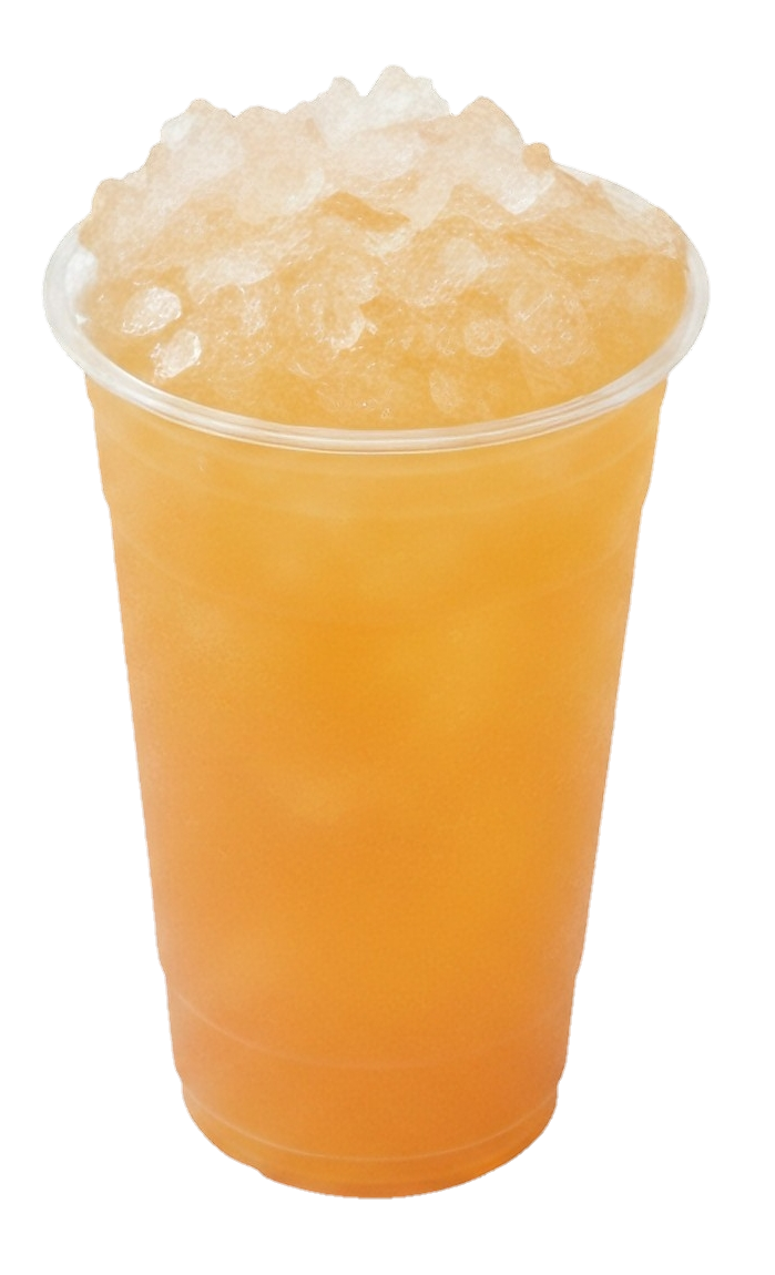 ផ្ទះបោះពុម្ព-01 (2)