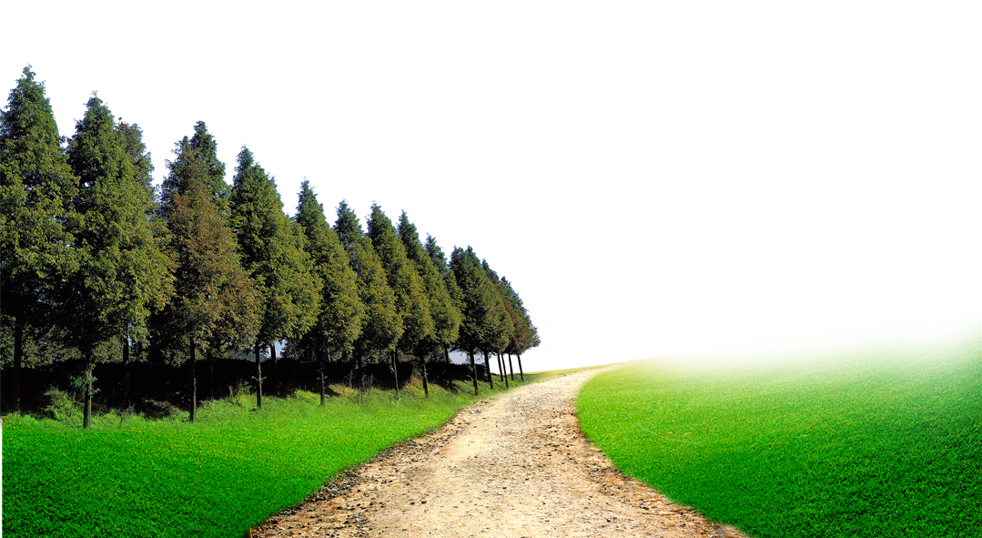 សួនច្បារ​ By  - Mrr Bun Thym (2) (3)