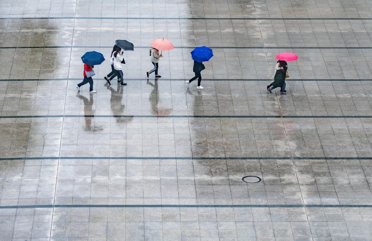 Rain  People  Umbrellas  Wet  Weather  Nature  Thunderstorm