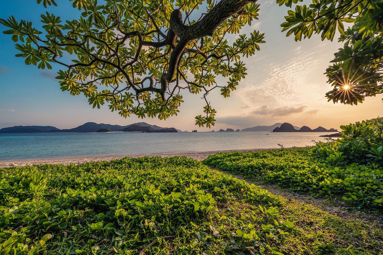 Sunset  Sand  Beach  Islands  Leaf  Subtropical  Okinawa  Nature Background  Japan  Landscape  Hd Wallpapers  Beautiful Nature  Nature  Hd Wallpaper  Nature Wallpaper