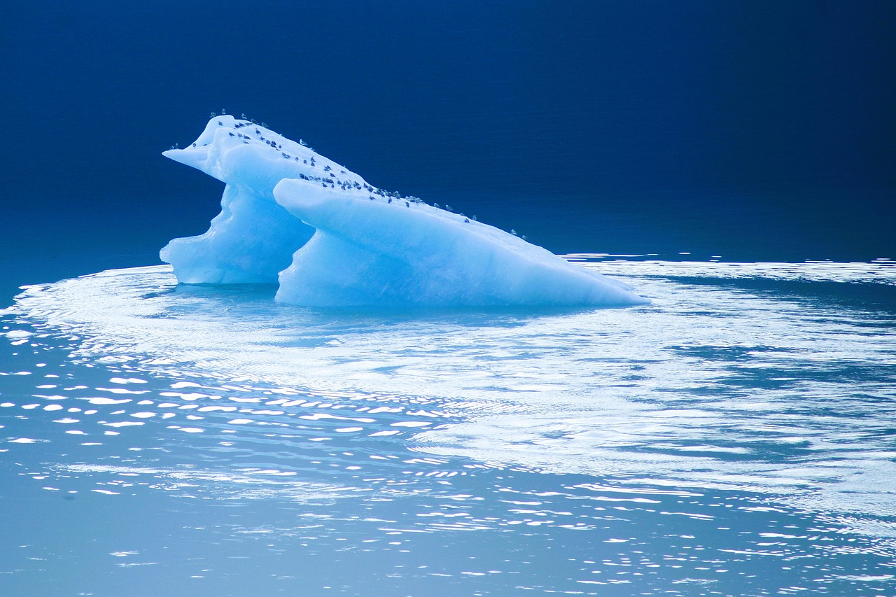 Glacier  Nature Background  Nature Wallpaper  Sea  Ocean  Water  Nature  Iceberg  Antarctica  Beautiful Nature  Blue  Cold  Climate  Hd Wallpaper