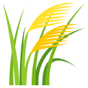 1f33e.png