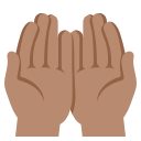 1f932-1f3fd.png