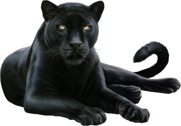Ck Edite (58).png