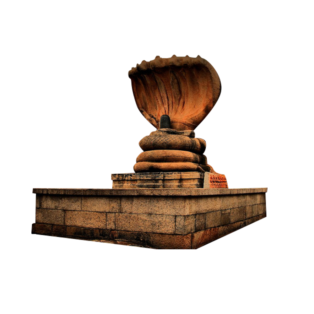 Nag.png