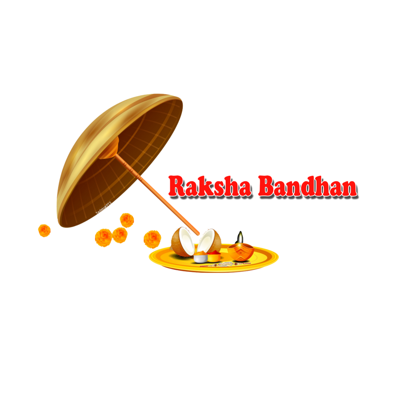 Rakhi  (45).png